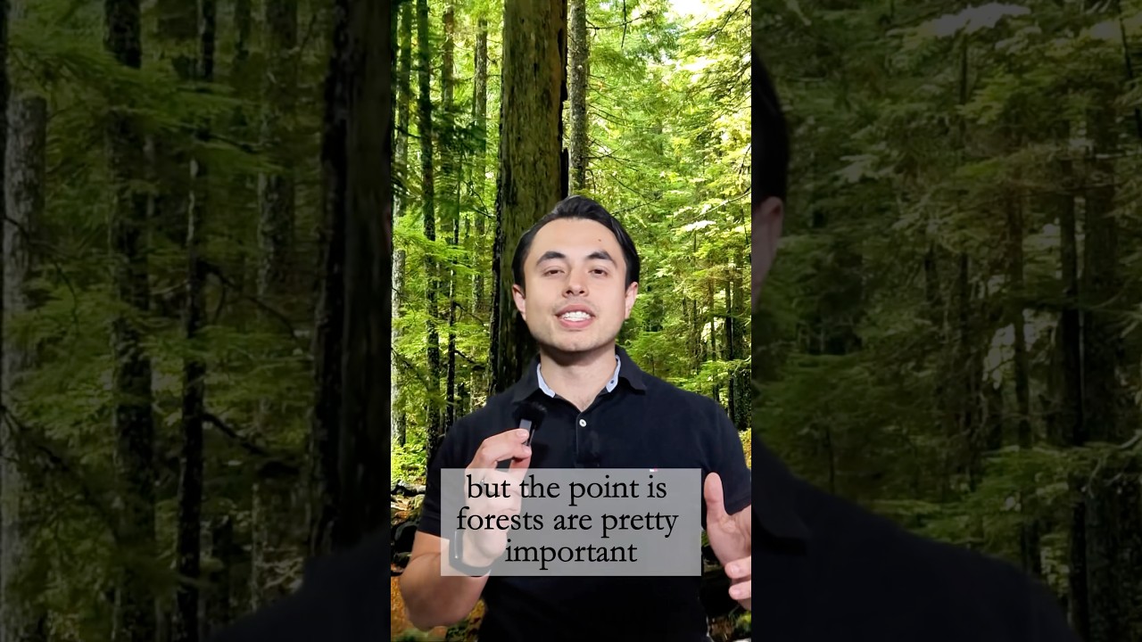 The TFFF (Tropical Forests Forever Facility) and ASFH