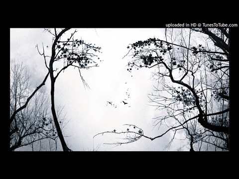 PRT Stracho - Better Days (Mariano A.S , Nepemora Remix)