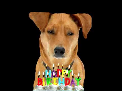 Happy Birthday, Trisha!