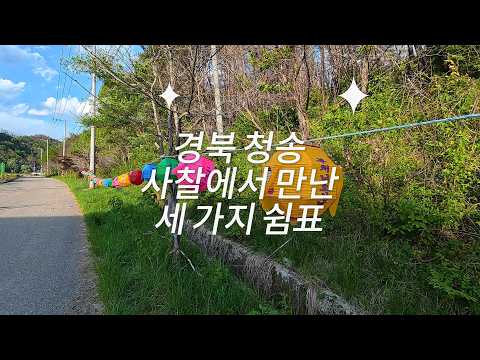 [온통청송] 청송 사찰의 연등ㅣ수정사·보광사·백운사