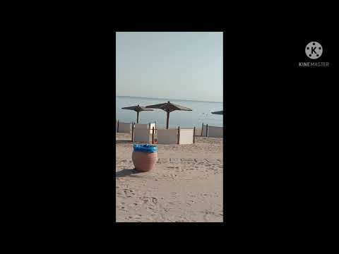 Beach view#The Oberoi beach resort Egypt#weather today#short