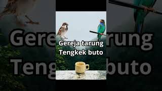 Download lagu tengkek buto vs gereja tarung #masteranonline mp3 Download lagu tengkek buto vs gereja tarung #masteranonline mp3