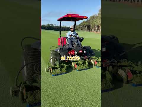 El DEPORTE de RICOS 🤑 #curiosidadN295 #las1000curiosidades #datoscuriosos