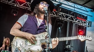 The Ghost of a Saber Tooth Tiger - "Animals" - Mountain Jam 2014