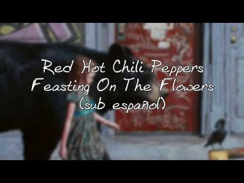 Red Hot Chili Peppers - Feasting on the Flowers Sub español
