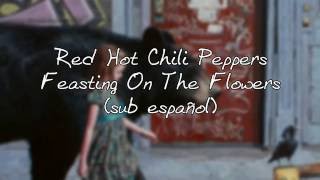 Red Hot Chili Peppers - Feasting on the Flowers Sub español