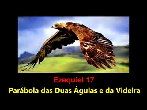 Ezequiel 17 Parábola das Duas Águias e a Videira