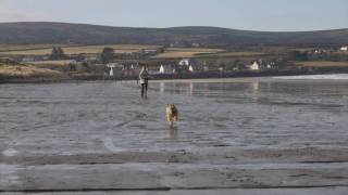 preview picture of video 'Valentines 2010, Newport Pembrokeshire'