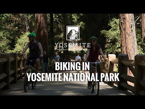 Biking in Yosemite National Park