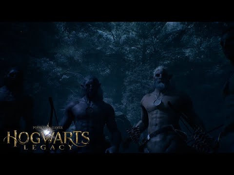 Hogwarts Legacy Full Game Walkthrough - Part 21