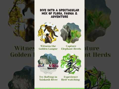 Meet The Golden Treasures of Bodoland!