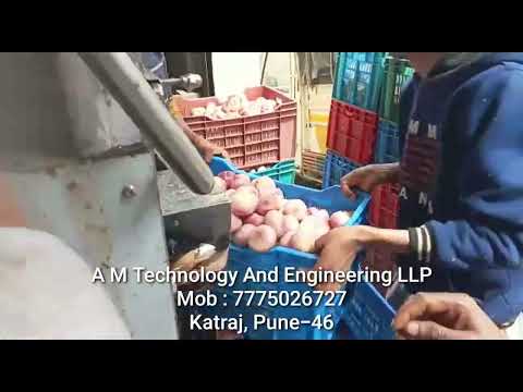 Ginger & Peeling Machine
