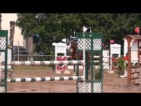 Malu (8) und Monte - Ton geändert - A** in Schwegenheim am 27.08.2017