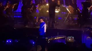 The Kite String Tangle with Queensland Symphony Orchestra - Arcadia (Live @ the Brisbane Powerhouse)