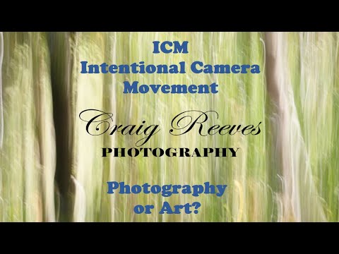 ICM - Intentional Camera Movement - Abstract - Craig Reeves Photography - Slideshow