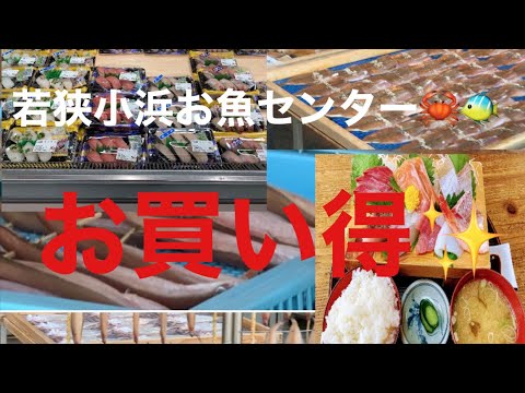 [Wakasa/Obama Fish Center🦀] La cocina de Obama✨