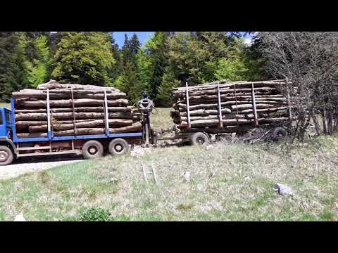 Holztransport-MAN 26.331