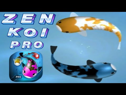 Zen koi Pro - Relaxing Premium Game | Coming soon! - YouTube