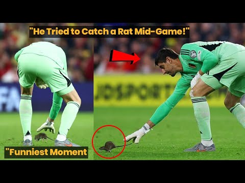 Courtois vs The Rat – Funniest Moment in Wales vs Belgium Match!