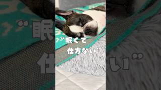 眠くて仕方ない
