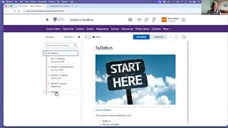 Brightspace Intro Training   Virtual