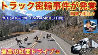 【#297】トラック密輸事件が発覚‼️ 国境で阻止‼️ 最高の紅葉ドライブ🚚　パッシングの意味💡　🇺🇸カリフォルニア州　Colusa配達(1日目)北米トラックドライバー(ゴート)