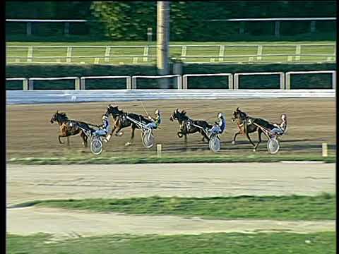 Trotto 17/09/2017 - 1ª prova di qualifica