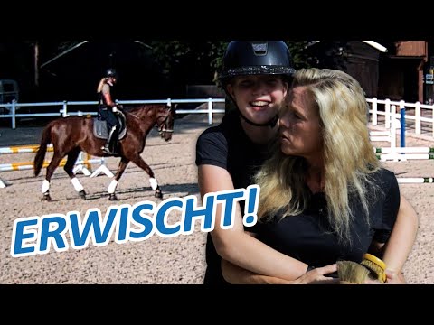 Ariane auf Jackpot erwischt – Erstes Parcoursspringen für Jungpferd | Pferdeausbildung