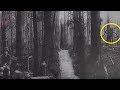 5 Slenderman Caught On Camera & Spotted In Real Life! #2 5 Slenderman Caught On Camera & Spotted In Real Life! #2