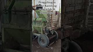 Download lagu Hasil Dari Fermentasi Kotoran Hewan Kambing (KoHe Kambing) mp3