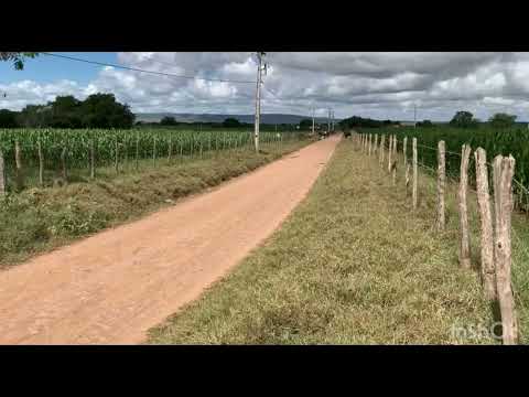 Veja estas fotos lindas! Adustina, Sertão baiano.