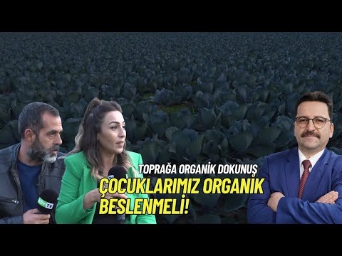 Balıkesir'de Organik Kışlık Lahana Yetiştiriciliği - Toprağa Organik Dokunuş