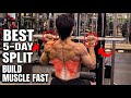 The Best 5 Day Workout Split For Muscle Growth Full Weekly Program Weeklyworkout