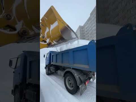 Камчатка уборка 21.01.2026