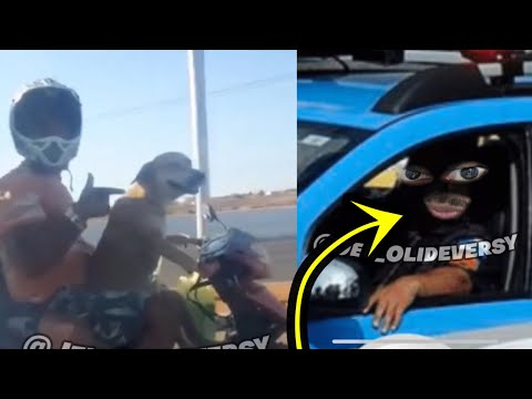 MEMES POLICIAIS - O PASSADO DO VILÃO/HERÓI 06