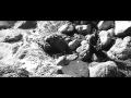 THE SMASHING PUMPKINS - Once upon a time     VIDEO HD