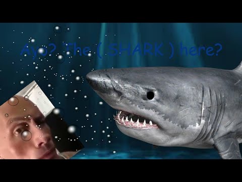 POV: You seen a picture of SCP-1128 and thought nothing of it.