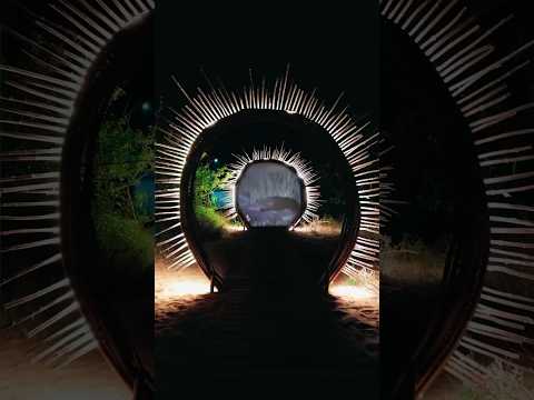 B2B with Silver Ivanov is always more than good 🔥🚀 #anighttoremember