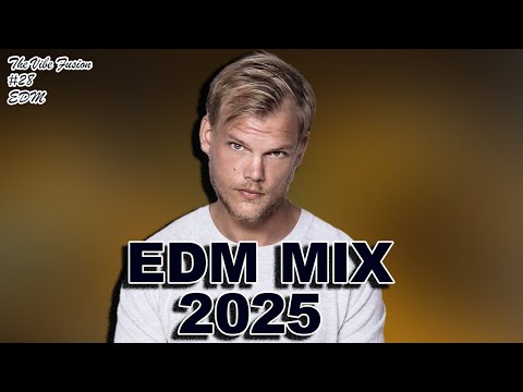 EDM & Pop Party Mix 2025 ft. Avicii, Pitbull, Chris Brown, Flo Rida | The Vibe Fusion With Esky #28