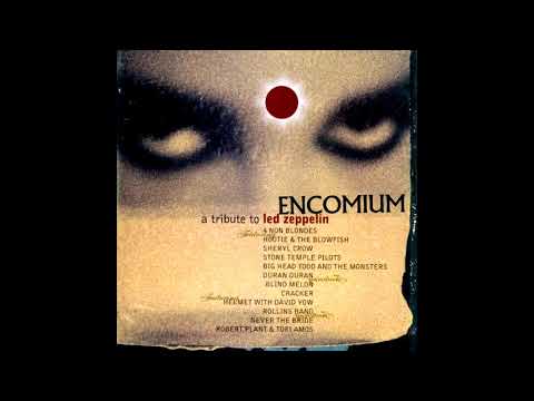 Led Zeppelin Tribute - Tangerine by Big Head Todd & the Monsters (1995)