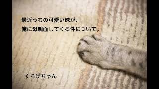 【男性向けボイス】最近うちの可愛い妹が、俺に母親面してくる件について。【くらげちゃん】