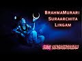 God Shiva Mantra | Lingashtakam | Mahadev Mantra For Protection and Blessing