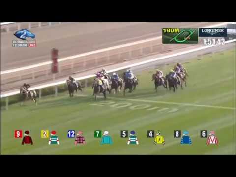 2017 Hong Kong Cup - Time Warp (Zac Purton) + ITW