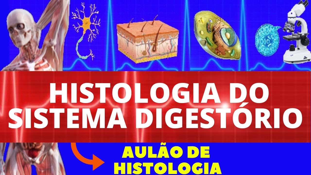 HISTOLOGIA DO SISTEMA DIGESTÓRIO (ENSINO SUPERIOR) - SISTEMA DIGESTIVO - HISTOLOGIA DIGESTIVA