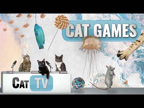 Cat Games | Ultimate Cat TV Compilation Vol 6 | 1 HOUR 🐱📺🐶🍭🧀🐔🐟🌊🐭🌱