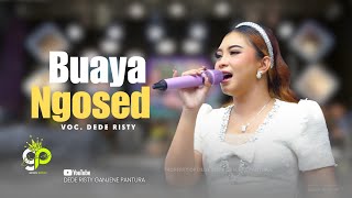 Download lagu BUAYA NGOSED VOC. DEDE RISTY | LIVE MUSIC GANJENE PANTURA mp3