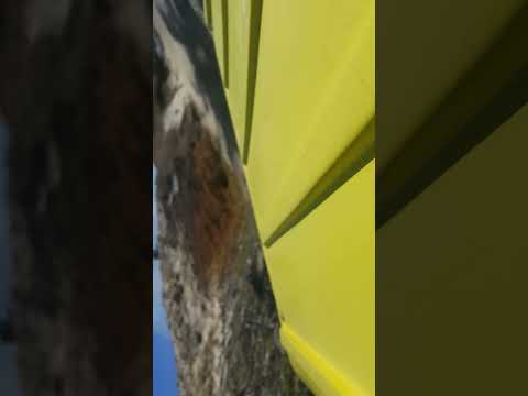 Passeio Bugue em Caucaia Ceara