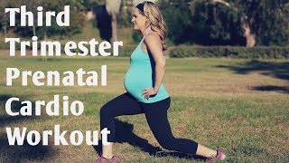 Third Trimester Prenatal Cardio Workout---But Good for ANY Trimester of Pregnancy! Third Trimester Prenatal Cardio Workout---But Good for ANY Trimester of Pregnancy!