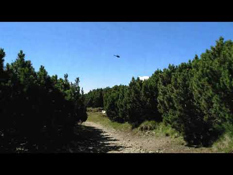 Cantonul Schiel (Jepi) - Cabana Piatra Arsă