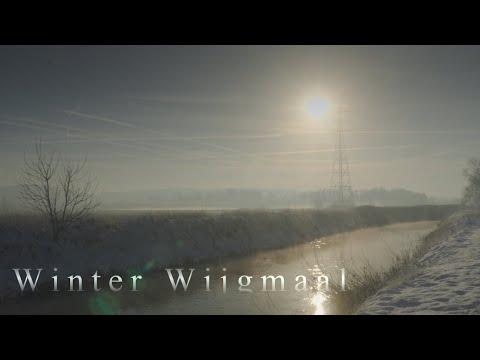 Winter Wijgmaal